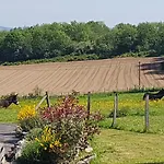 Et Table D'hôtes Il Fut Un Temps... 4*