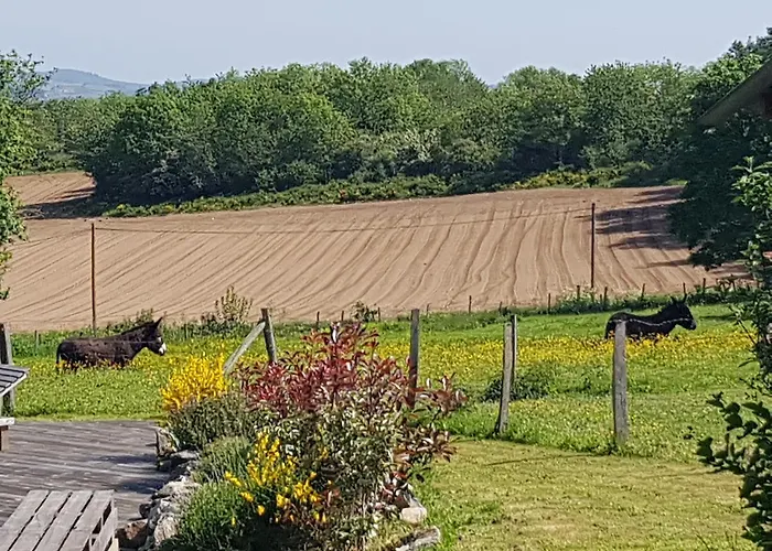 Et Table D'hôtes Il Fut Un Temps... 4*